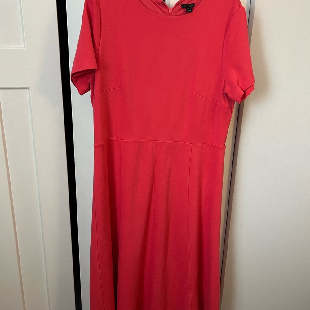 Ann Taylor Vibrant Pink Midi Dress